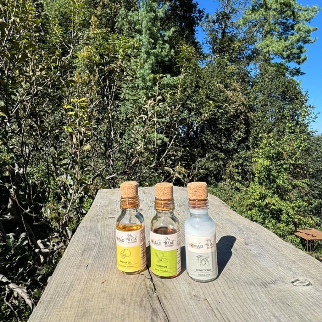 Bare Necessities at Camp Nomad