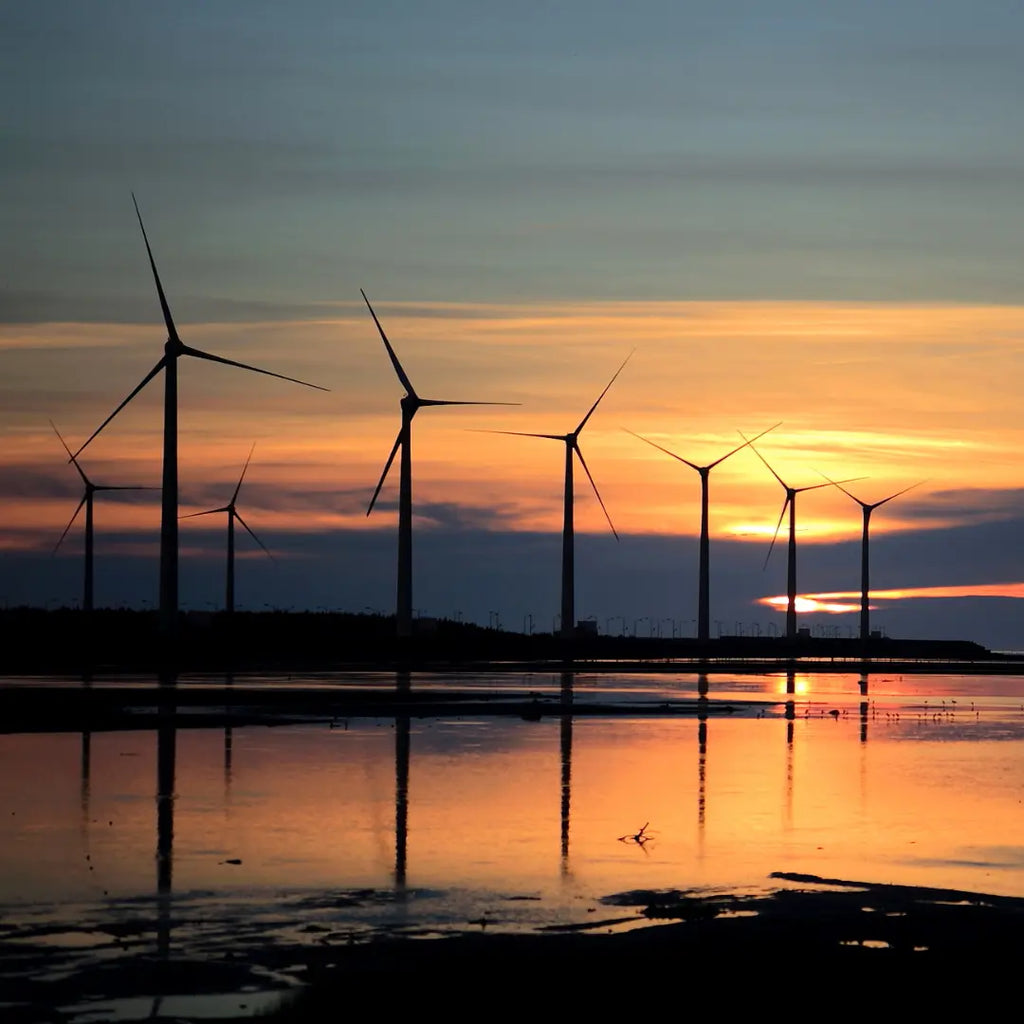World Earth Day 2025 | Energy Efficiency Practices