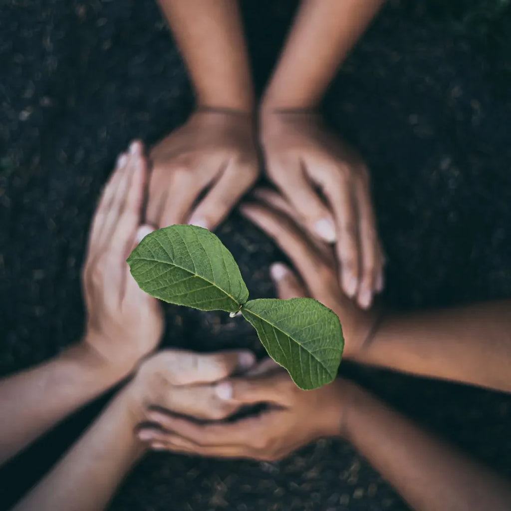 India was sustainable before sustainability was a thing