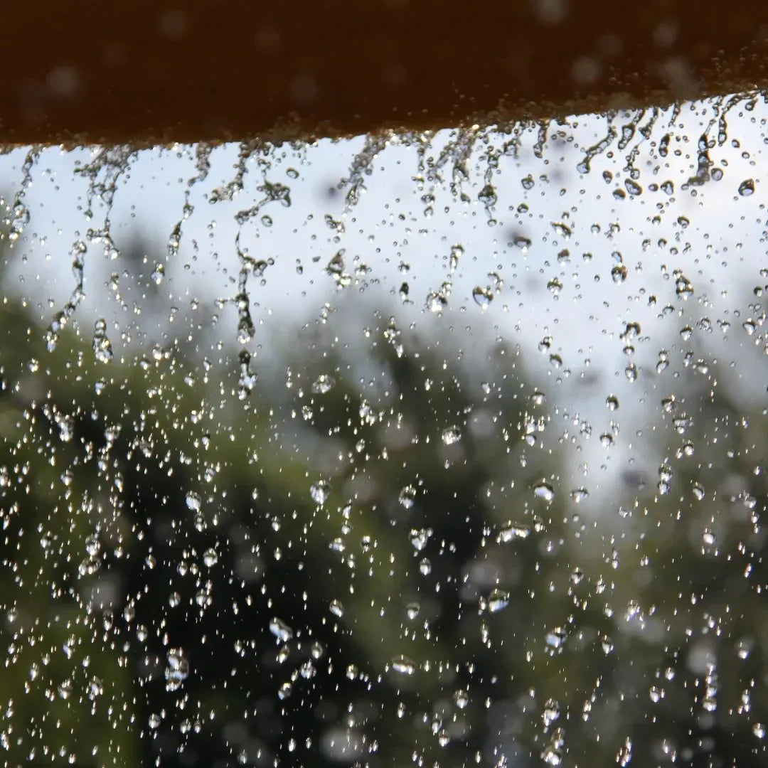 Glow Through the Gloom | Monsoon Special