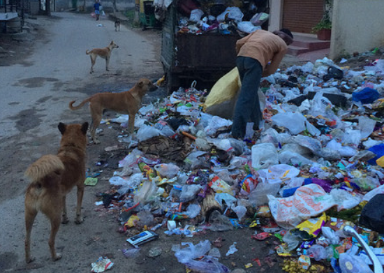 The Benefits of Talking About Plastic Bans