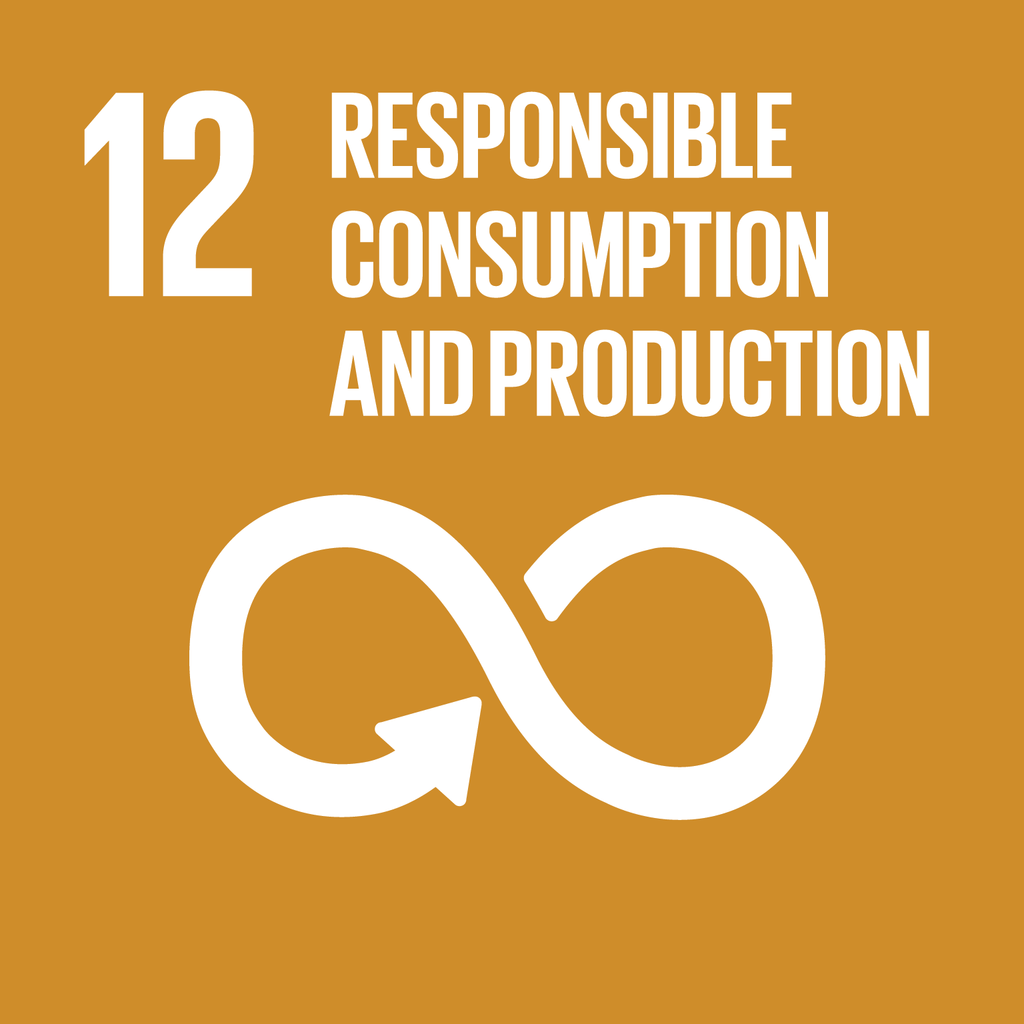 A Brief Look at the SDGs and the Circular Economy (in India): Goal 12