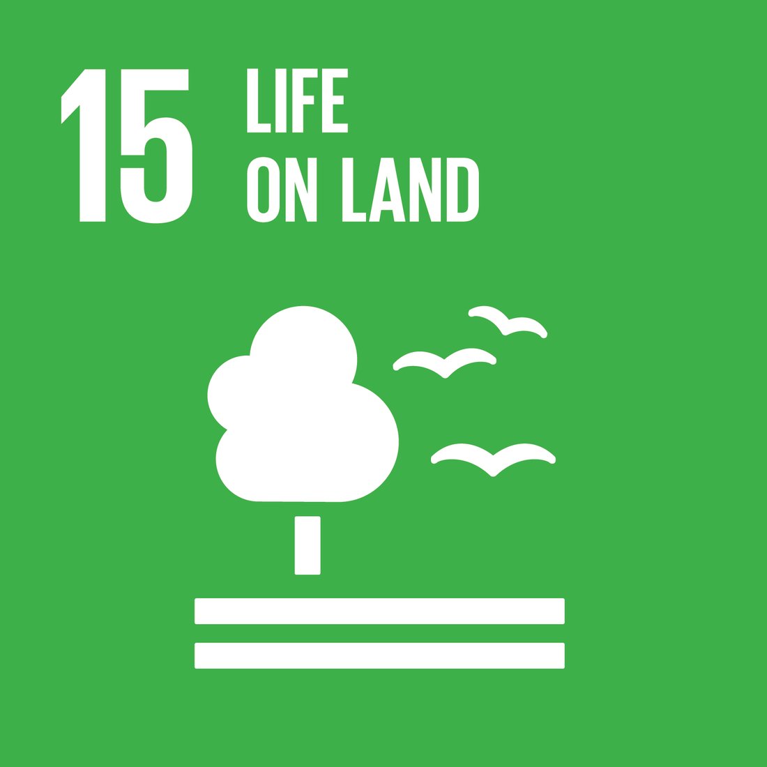 A Brief Look at the SDGs and the Circular Economy (in India): Goal 15