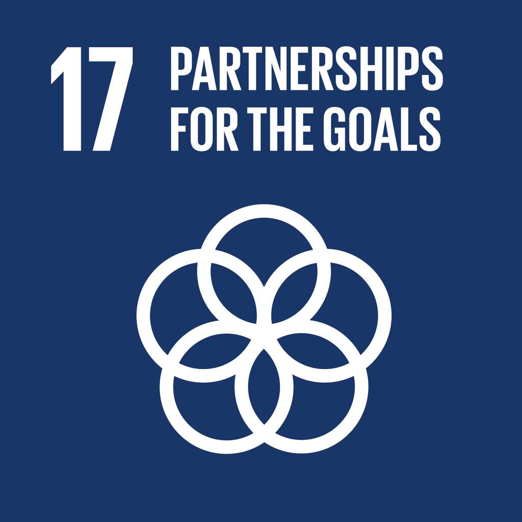 A Brief Look at the SDGs and the Circular Economy (in India): Goal 17