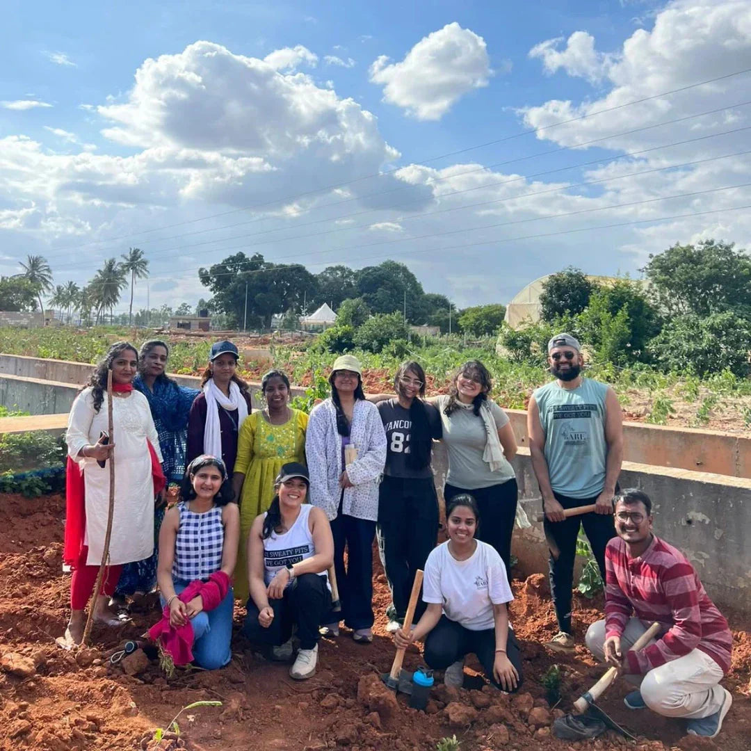 Namma Bengaluru, Namma Trees: A Memorable Team Outing