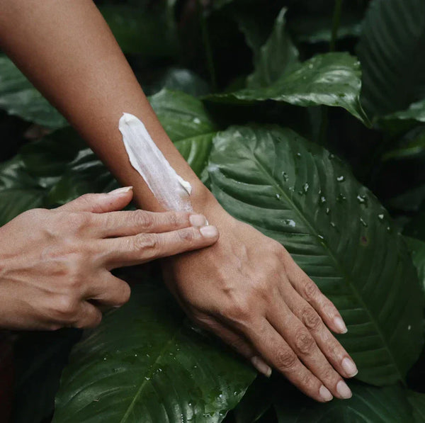 A Gilmore Girls Winter Guide to Bare Necessities