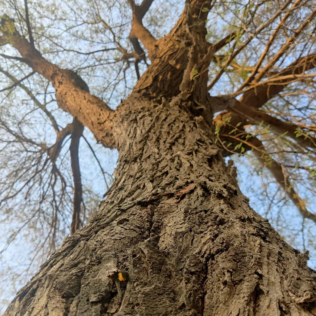 Is War the Climate Crisis We're Not Talking About?