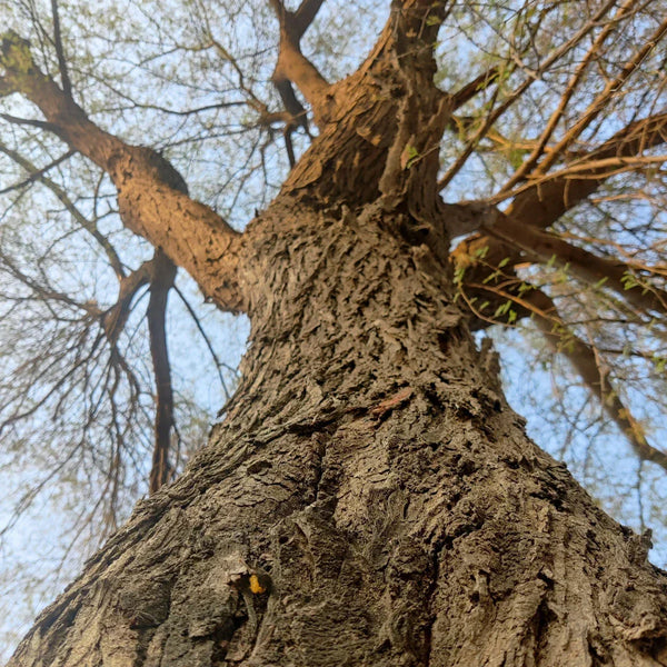 Is War the Climate Crisis We're Not Talking About?