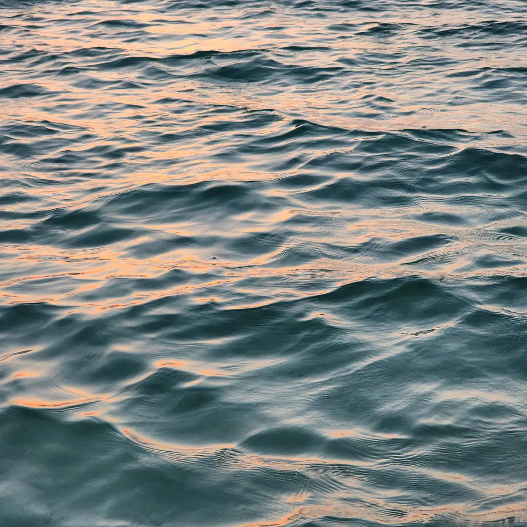 Going Waterless this World Water Day