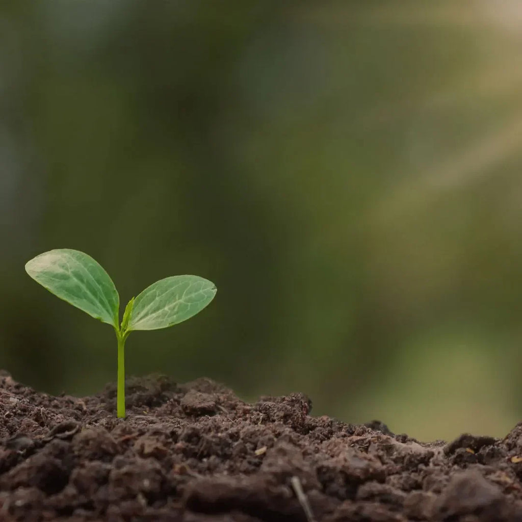 World Biodiversity Day 2025 | Reducing Single Use Plastics