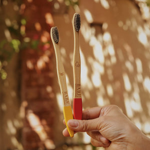 Eco-friendly bamboo toothbrush compostable biodegradable handle