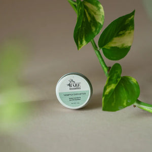 Pack of 3 Natural Lip Balms - Travel Size Lip Care Gift Set