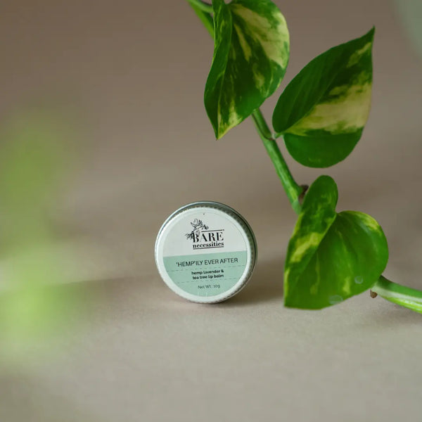 Pack of 3 Natural Lip Balms - Travel Size Lip Care Gift Set