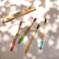 Compostable bamboo toothbrush eco-friendly zero waste design