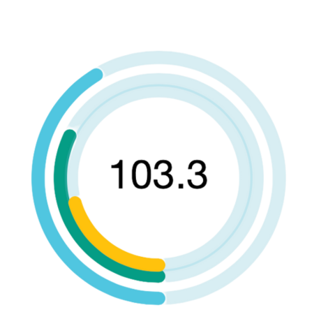 Overall B Impact Score