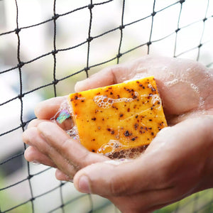 An Anecdote Annatto oil soap reduces wrinkles blemishes vegan