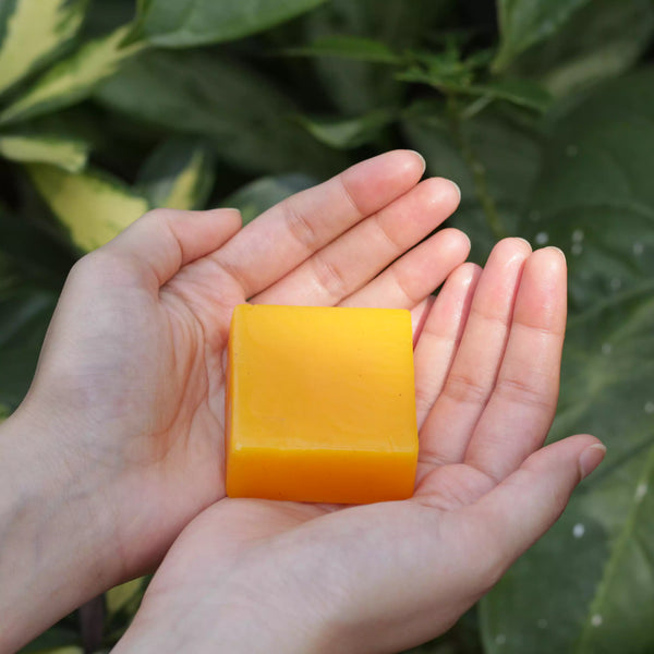 Love is in the (h)air - Natural Conditioner Bar for Dry & Frizzy Hair