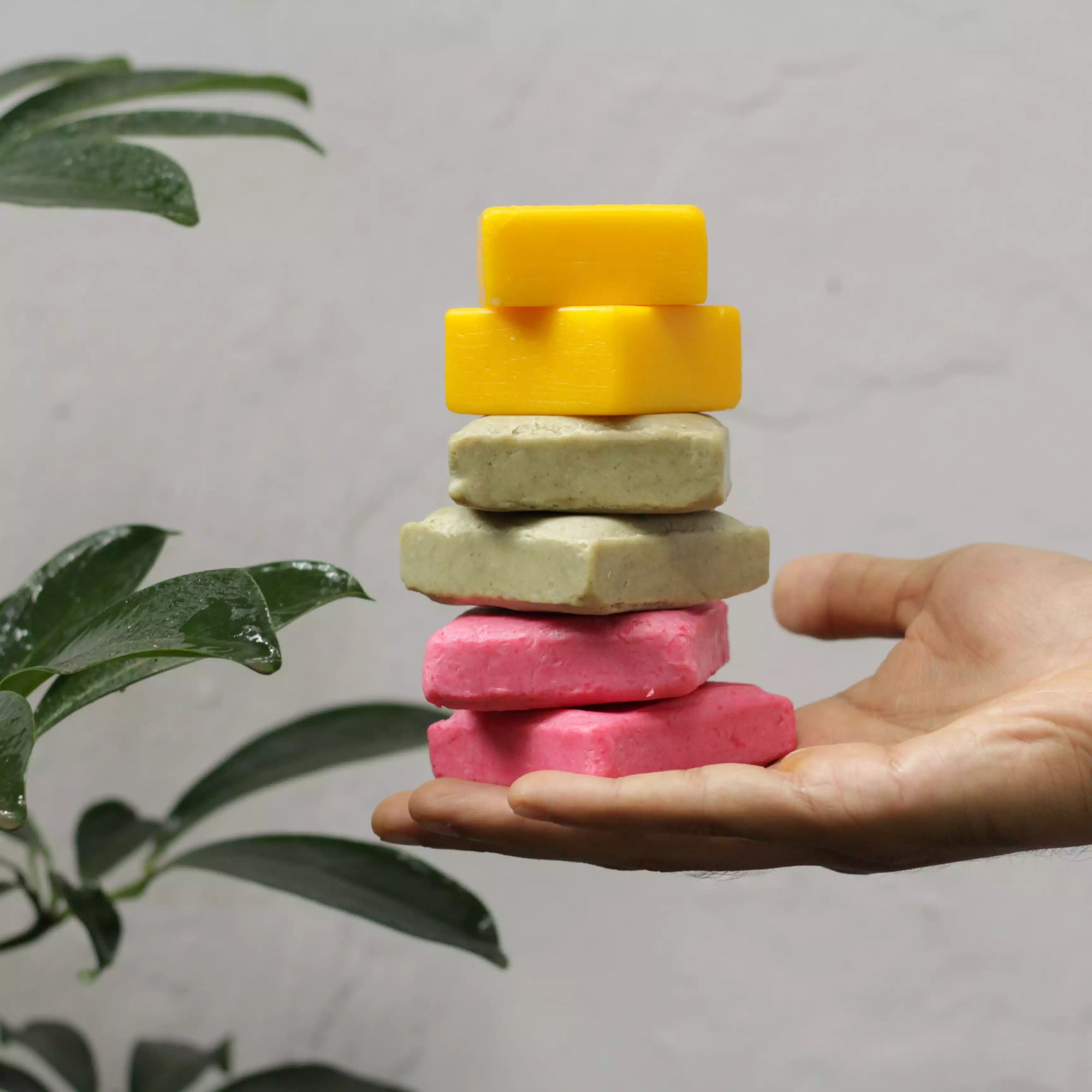 Zero waste hair care kit plant-based shampoo conditioner bars