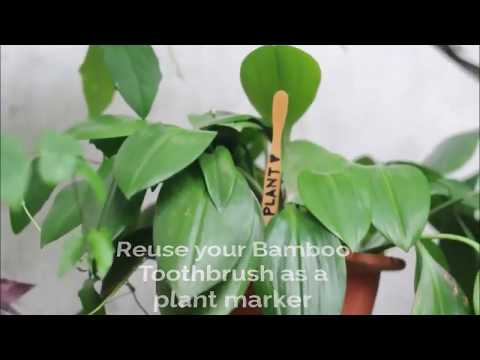 Bamboo toothbrush eco-friendly alternative to plastic